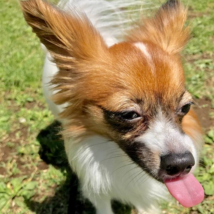 F5f5edf6 0164 4ad1 94f9 904ff5f2e8a5