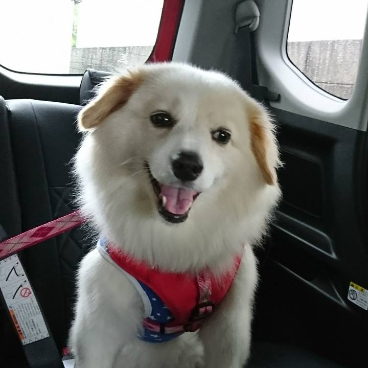 F5f5f8a9 5d98 4eb7 925c c5495801f95b