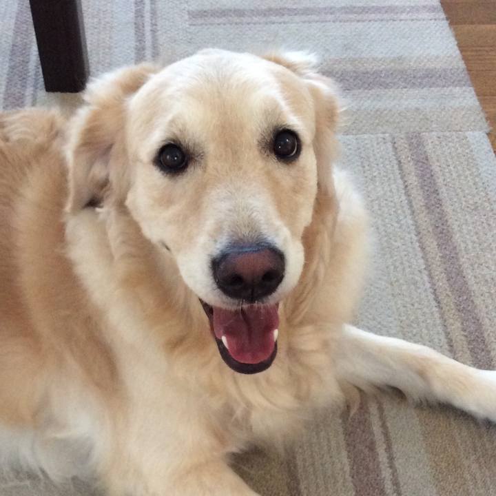 F5f66875 8a39 4916 a1ae 298cbea9219f