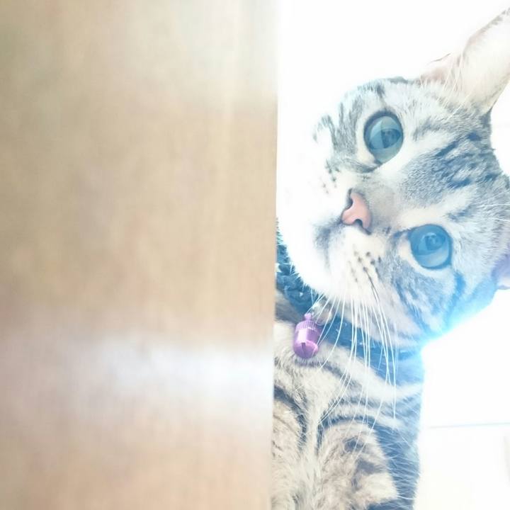 F5f69e61 48bb 4130 9067 83d04e81226b