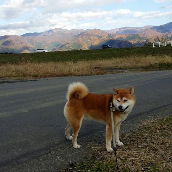 F5f714fb 2ef1 4d1a ab57 22ec036cc80e