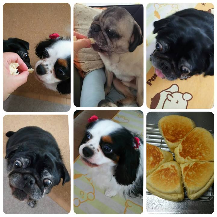 F5f7d2c1 cd9b 40b1 9d49 ead8b2625782