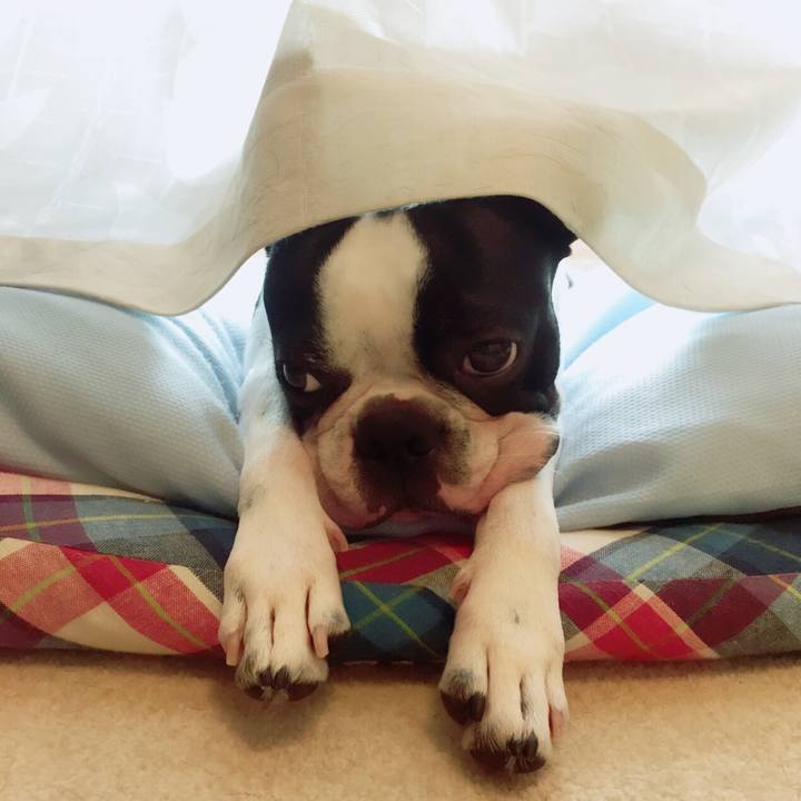 F5f87e3d 92c6 4992 a45b f94a59f88f24