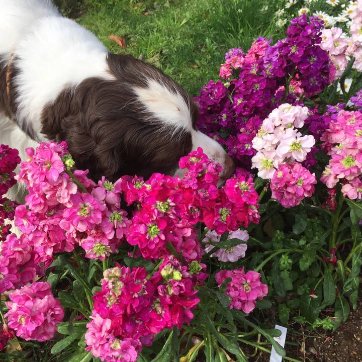 F5f88202 1031 4c3f 8f6d a19569016609