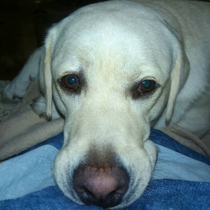 F5f8b0c2 6bc2 40d3 a6c2 09a0b30a5292