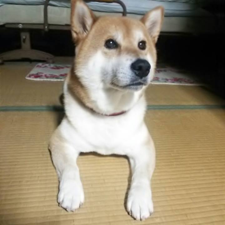 F5f8b5ec ba95 4b55 bc02 cedf900bb8d0