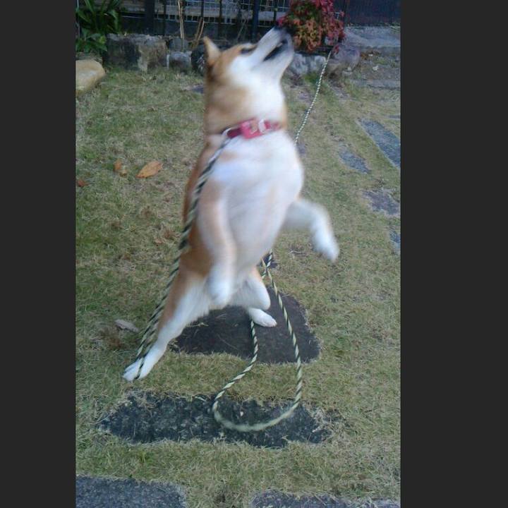 F5f9003b 00c5 434a 93bc be01a8eced91