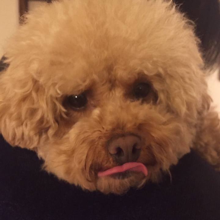 F5f97f7d c2a5 4956 a17d 9c531b148a31