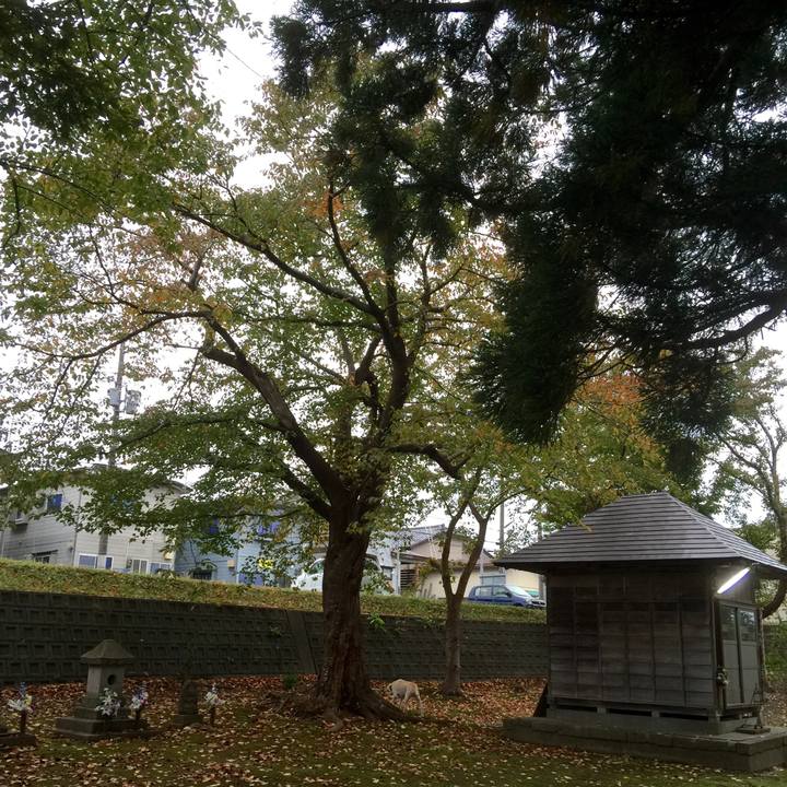 F5f9c510 a785 4e71 a980 7b9fdfacae61