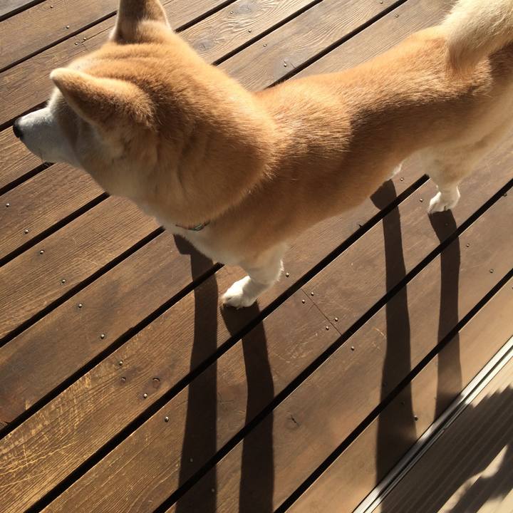 F5f9d77e 6952 4309 b090 71d03faf1b44