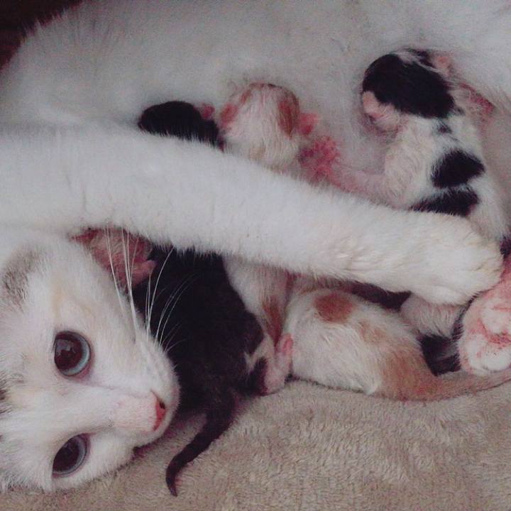 F5fa0424 c352 4ac5 aae9 5ea57fce1e77