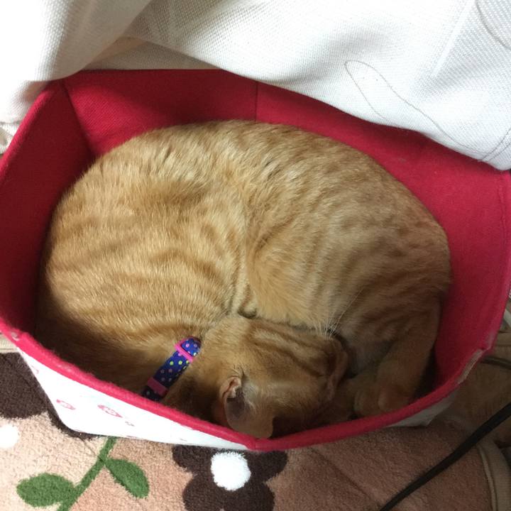 F5fab241 aa57 4507 bfe9 3e925e3c15a9