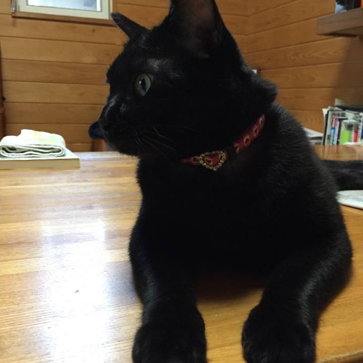 F5fb40a8 0bcd 47dc ba06 788583e8ecc0