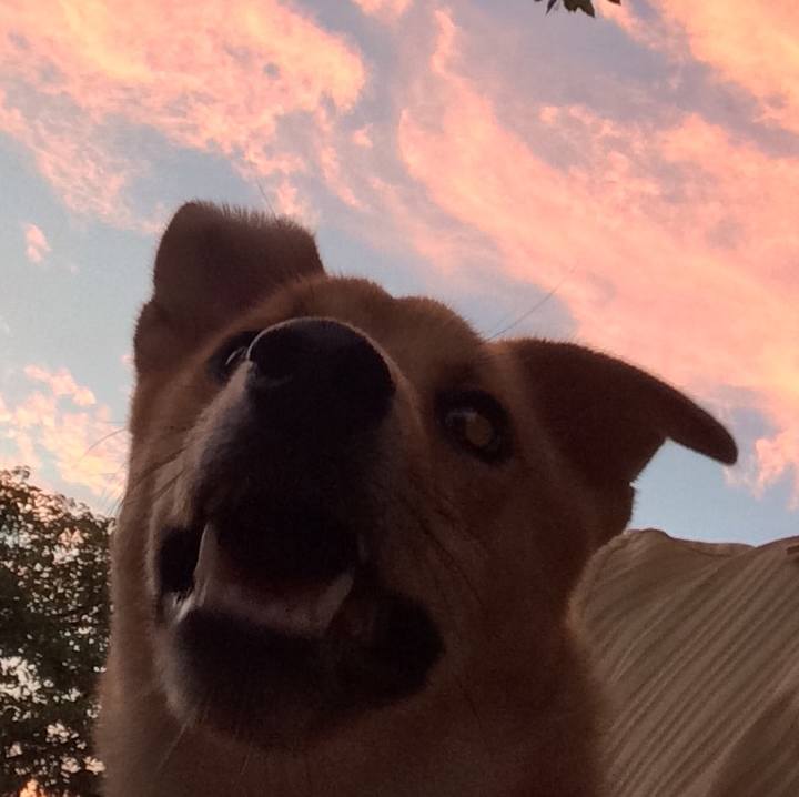 F5fb9919 1c3d 4142 af92 27f4a7946d52