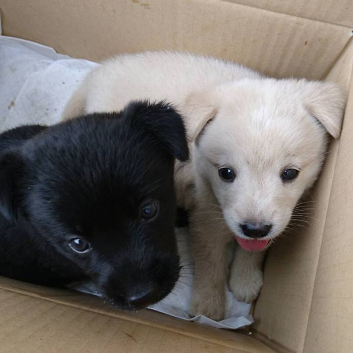 F5fbdb29 8060 4e68 acc0 cbaed54f9193