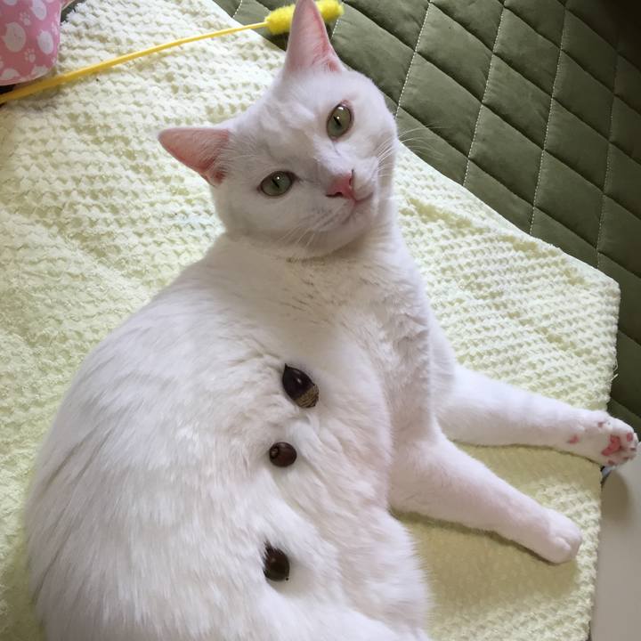 F5fd1fbb a7d4 42e8 b575 dae0b07d6cd2