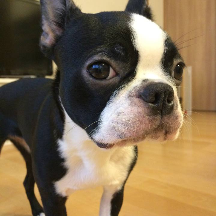 F5fd2773 9815 4de8 b025 82dabe20bbec