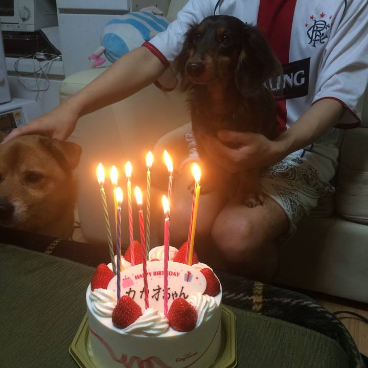 F5fe7708 b4e9 40e1 a76a 3fb67a603f6b