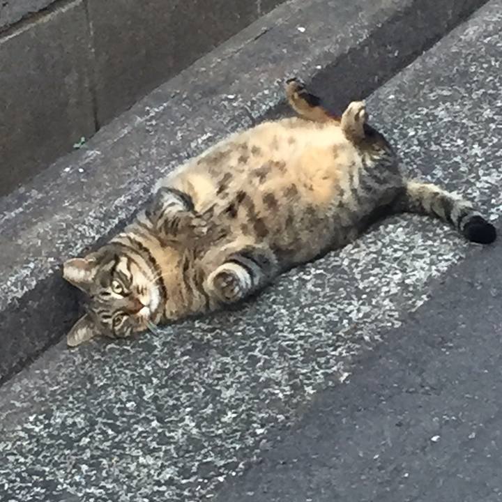 F5fed53d 7ac4 4276 98d3 2589dd27b3bf