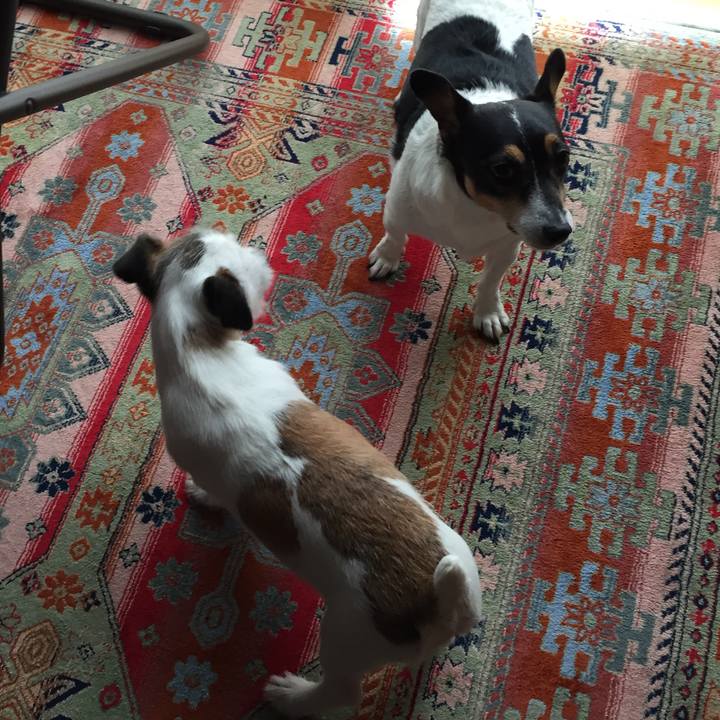 F5ff2ddb e2ce 4ff6 99e1 1514908ade70