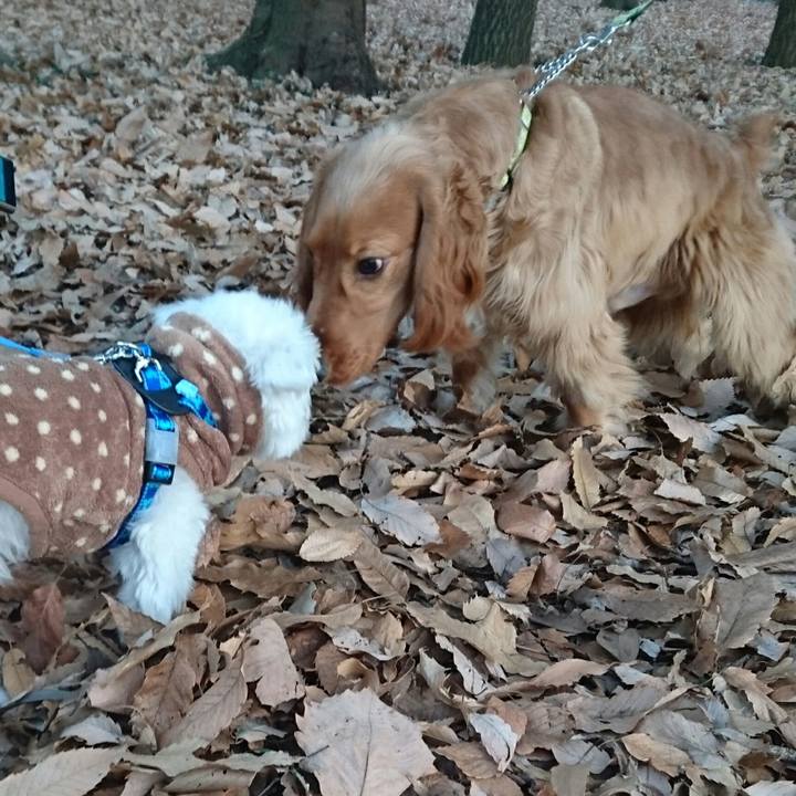 F5ff9452 b414 4138 8355 dbd0f94fc5be