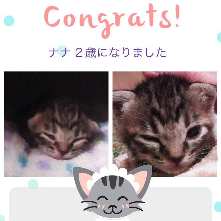 F5fff871 2e2a 42bb 9c4c fff92a5c2336