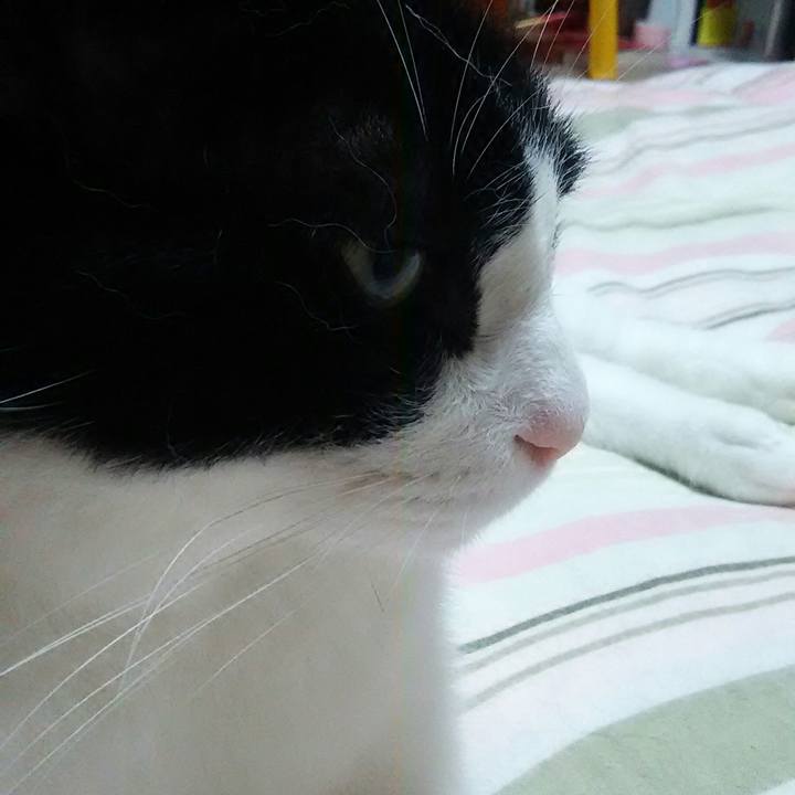 F5fffec4 3d93 4a27 a76c cef8147991ed