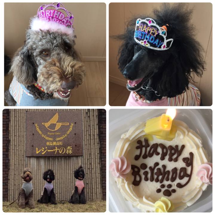 F6002d0f 0833 418e bcd7 928da3cbc582