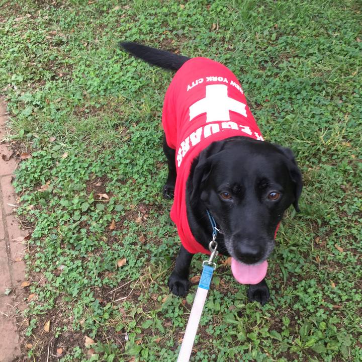 F600f1c1 5007 4e92 8a40 8c27dcdcbfd1