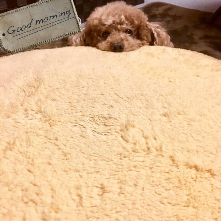 F601d3e9 3b7f 4369 a2e5 dee13f001e9a