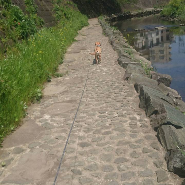 F6020a65 95df 4d4a 80e6 3ce10bce9b98