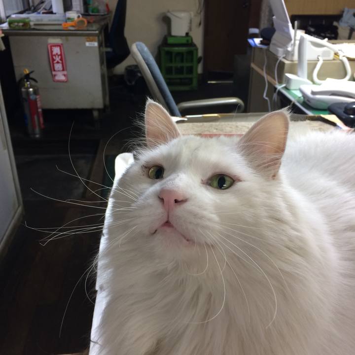 F6029a16 f2a9 419d 9dd5 99b2f281fd45