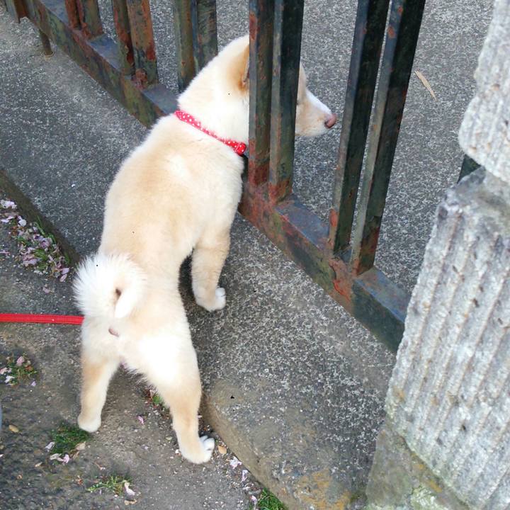 F602a5f8 4e76 4635 b761 53c50c4fc2ad