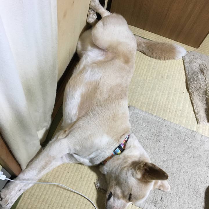 F6032270 43f3 4765 afb1 fd79bf33b0ff