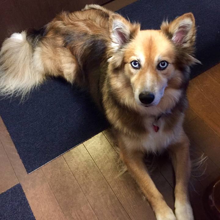 F6033491 48d3 4fdb bb96 503ffeaf1f11