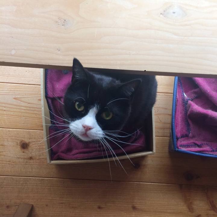 F603887e f51b 4a56 8845 1828b9832e2a