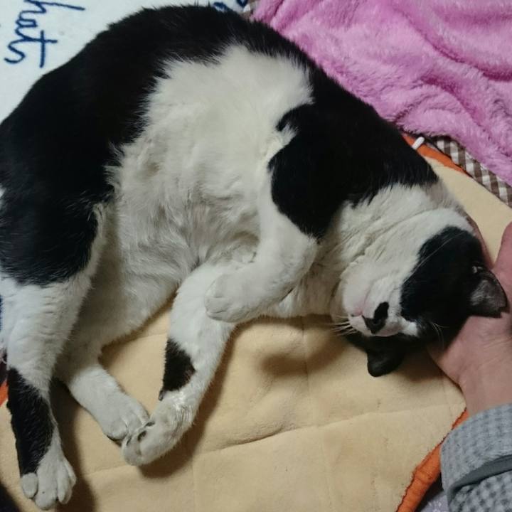 F6038de1 63b3 409c 8810 bc7fbe1d6085