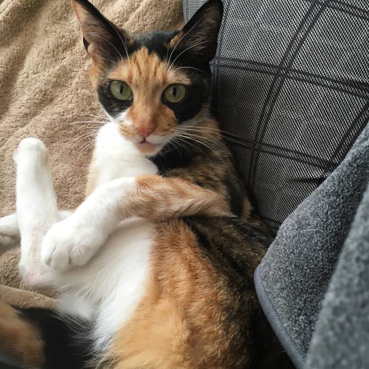 F60397d1 4a6b 46cc b17c 9c5ec4bbaa79