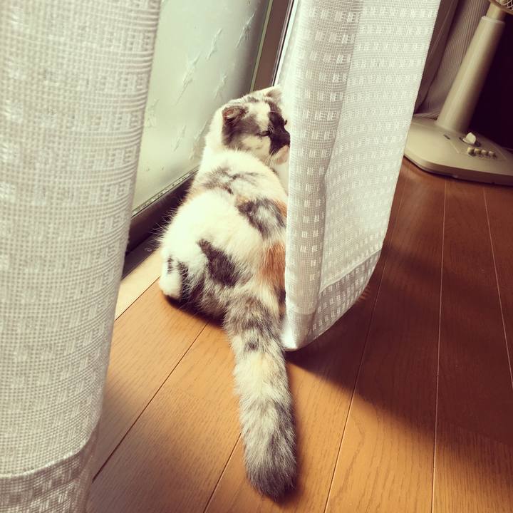 F603b603 b91a 4d65 95d6 71a58ff6af7c