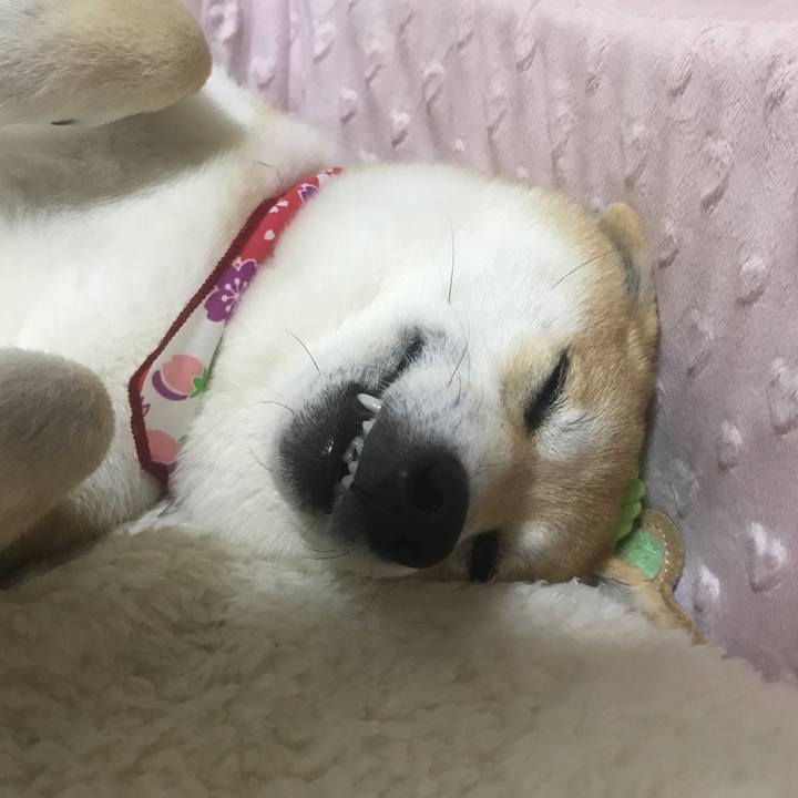 F603bd2c 7f0d 415f afd8 1d21dc171dba