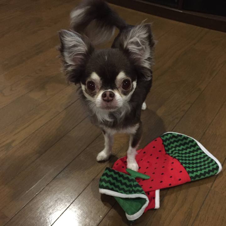 F605560a 3b10 4668 89a8 59d5a6d527c3