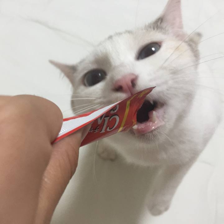 F6057db2 4571 4cba 835d a300641424d9