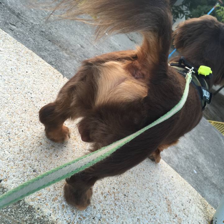 F6060b76 650f 4213 98ae 43285449a81c