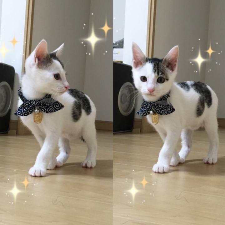 F6062c45 403f 4e22 ae66 1263711515d6