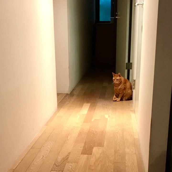 F6066b6f 7ca4 43c7 9825 24495887d3fe