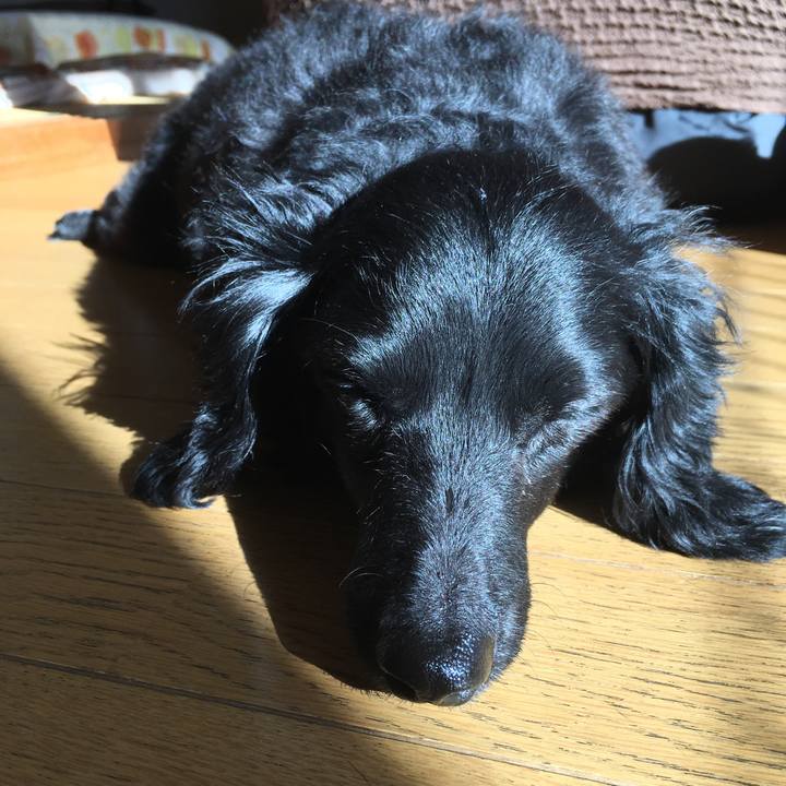 F6070d3b c86a 4563 8c21 2a674bc2824a