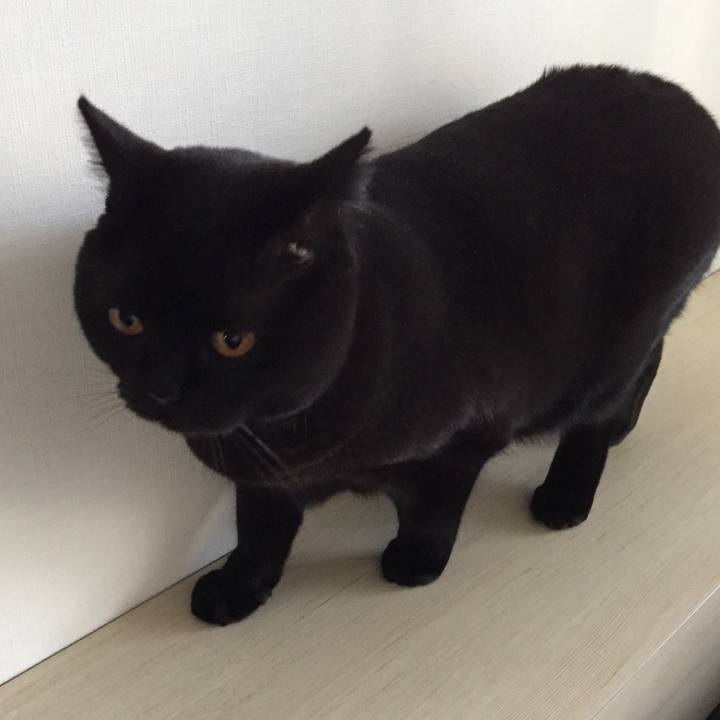 F6071871 3693 4550 8a6e 4852047fc83f