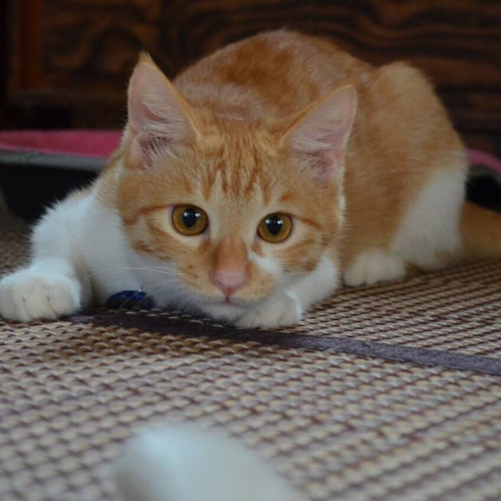 F6078c88 a31b 4469 91c9 c8493c6d1070