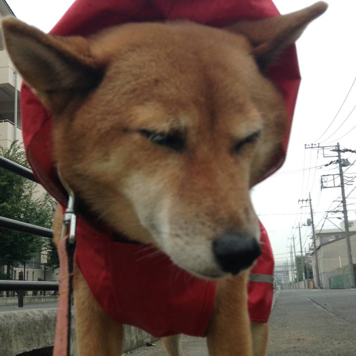 F607b2af 4591 4abe 898d 4958654276ab