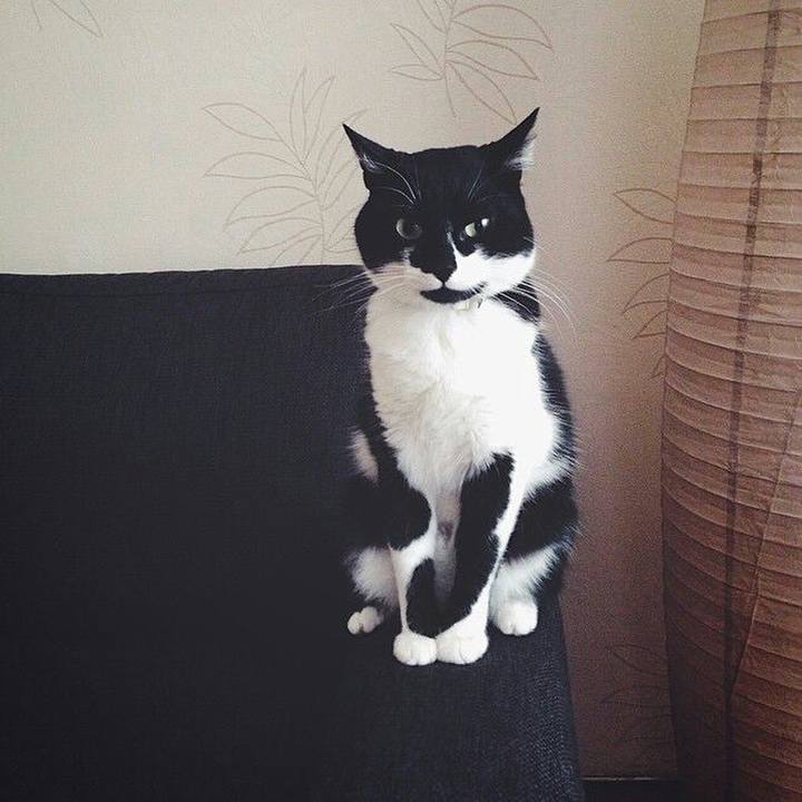 F607fafc 89bf 42f9 9175 355d5a2cf7ee